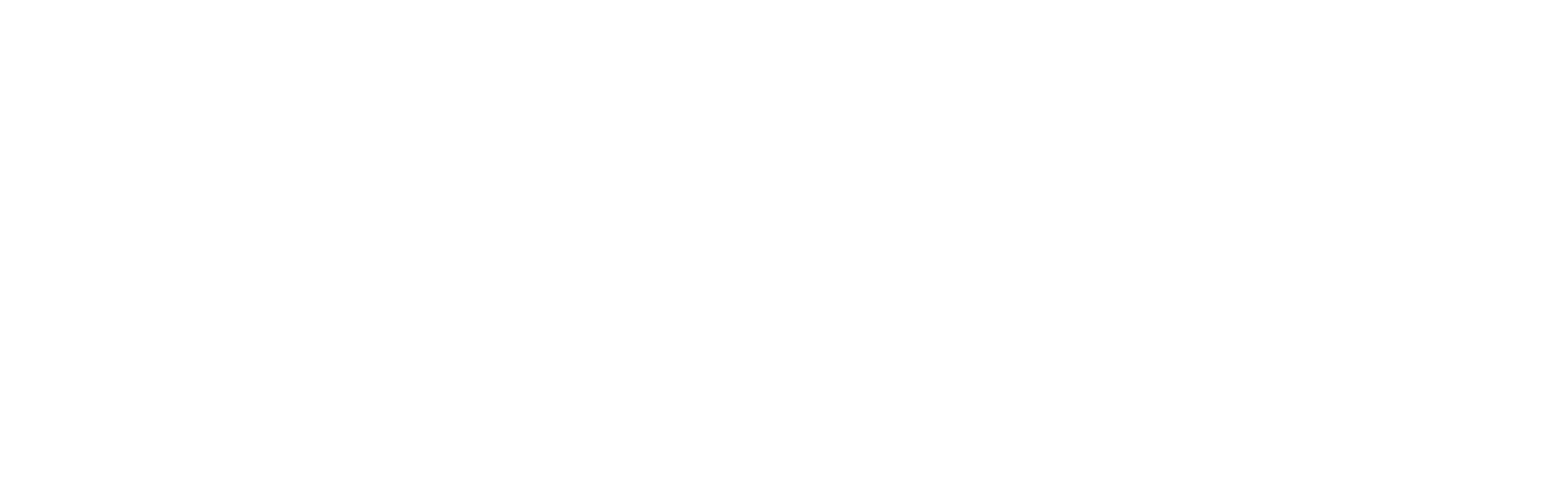 Denver She Wrote